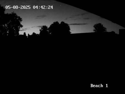 2025-08-05