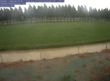 2026-08-11