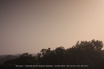 2025-08-10