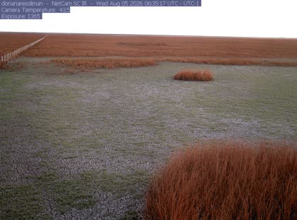 2026-08-05