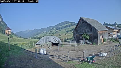 2025-06-12