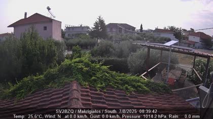 2025-08-07