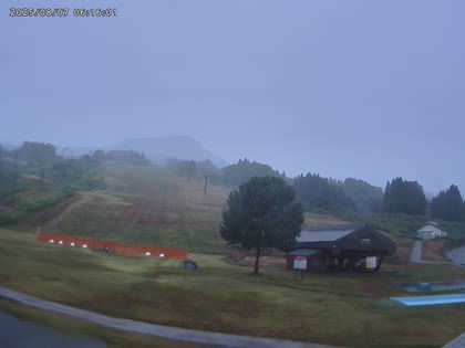 2025-08-06