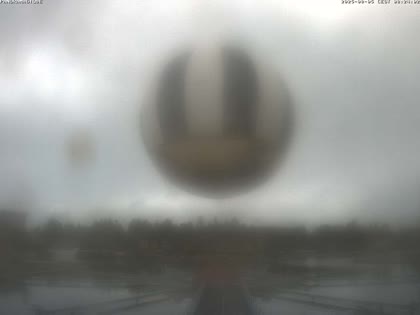 2025-08-05