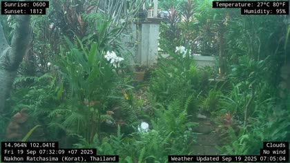 2025-09-19
