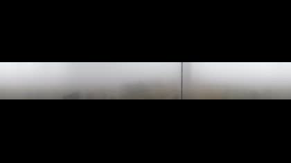 2026-08-19