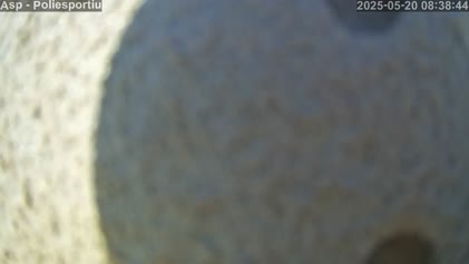 2025-05-20