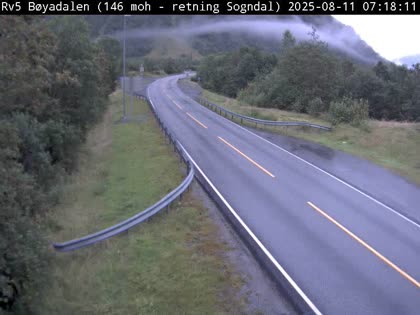 2025-08-11