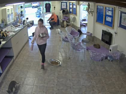 2025-10-06