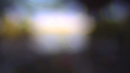 2026-09-29