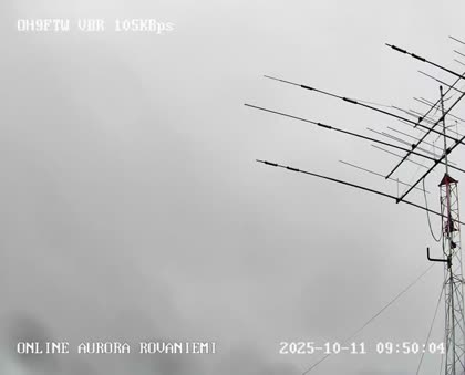 2025-10-11