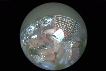 2025-08-17