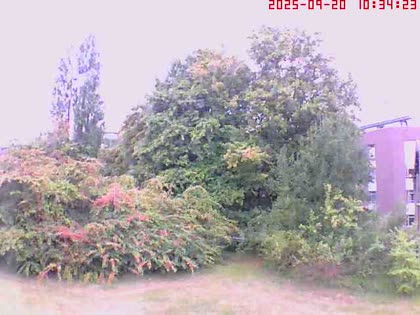 2025-09-20