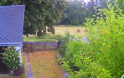 2025-07-08