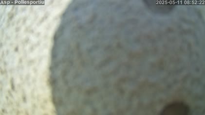2025-05-11