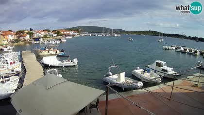 2026-06-06