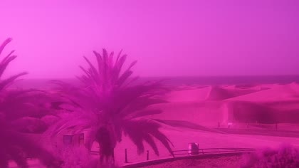 2026-07-01