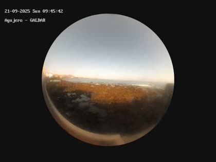 2025-09-21