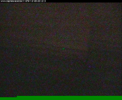 2025-08-01