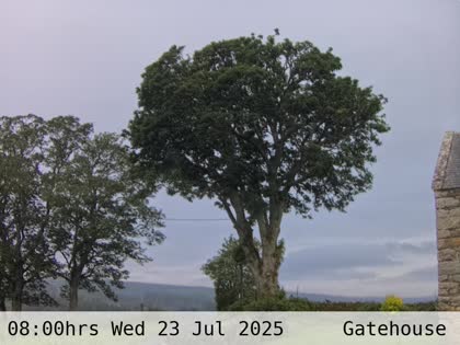 2025-07-23
