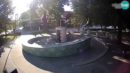 2025-08-05