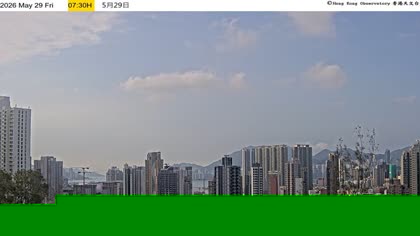 2026-05-29