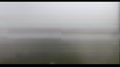 2025-08-29