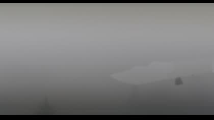 2025-08-01
