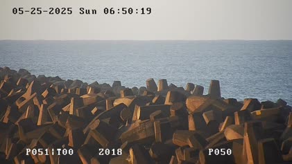 2025-05-25
