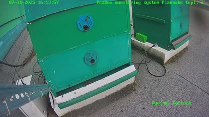 2025-08-01