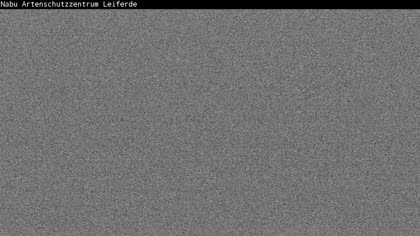 2025-09-23