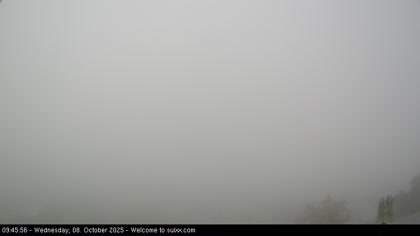 2025-10-08