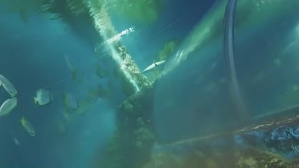 2026-06-18