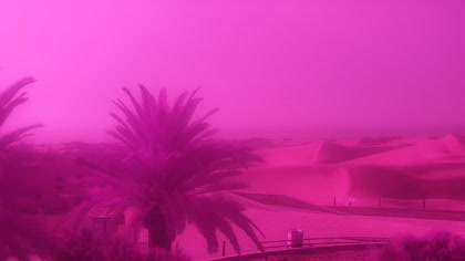 2026-08-01
