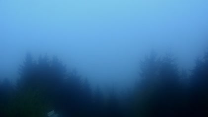 2025-05-28