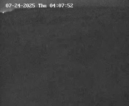 2025-07-24