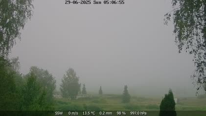 2025-06-29