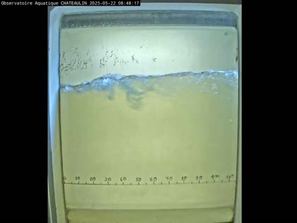 2025-05-22