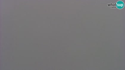2026-06-10