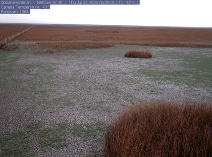 2026-07-23