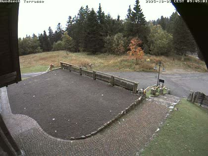 2025-10-09