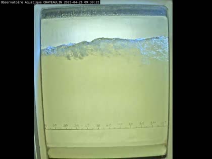 2025-04-28