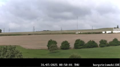 2025-07-31