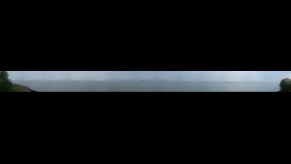 2026-08-10