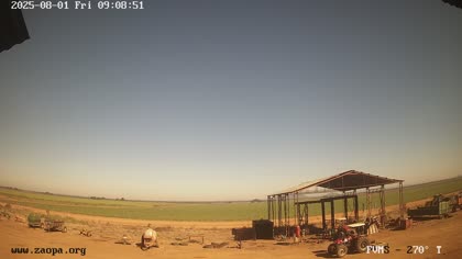 2025-08-01