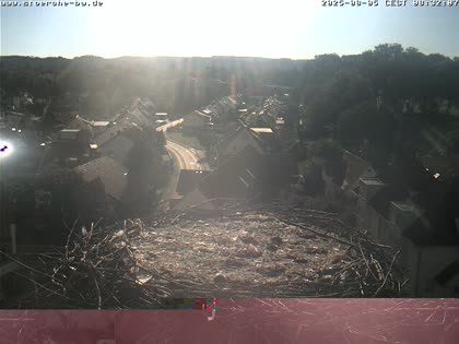2025-08-05
