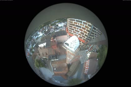 2025-07-12