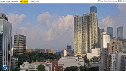 2026-05-25