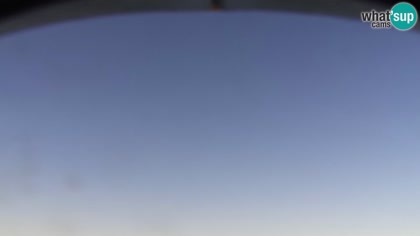 2026-06-15