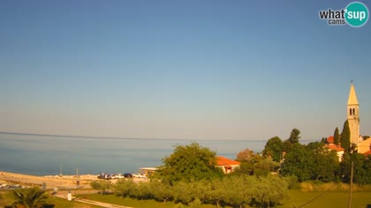 2026-05-24